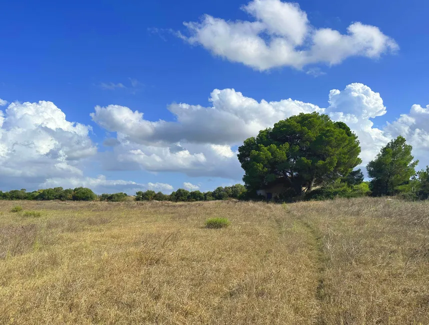 Just minutes from the sensational Playa de Muro, build your own country house-2