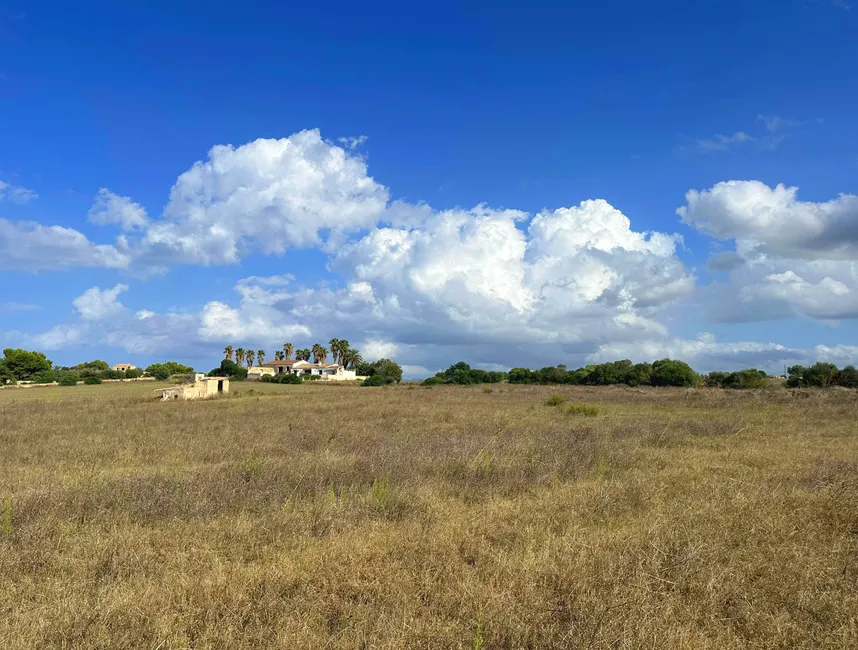 Just minutes from the sensational Playa de Muro, build your own country house-4