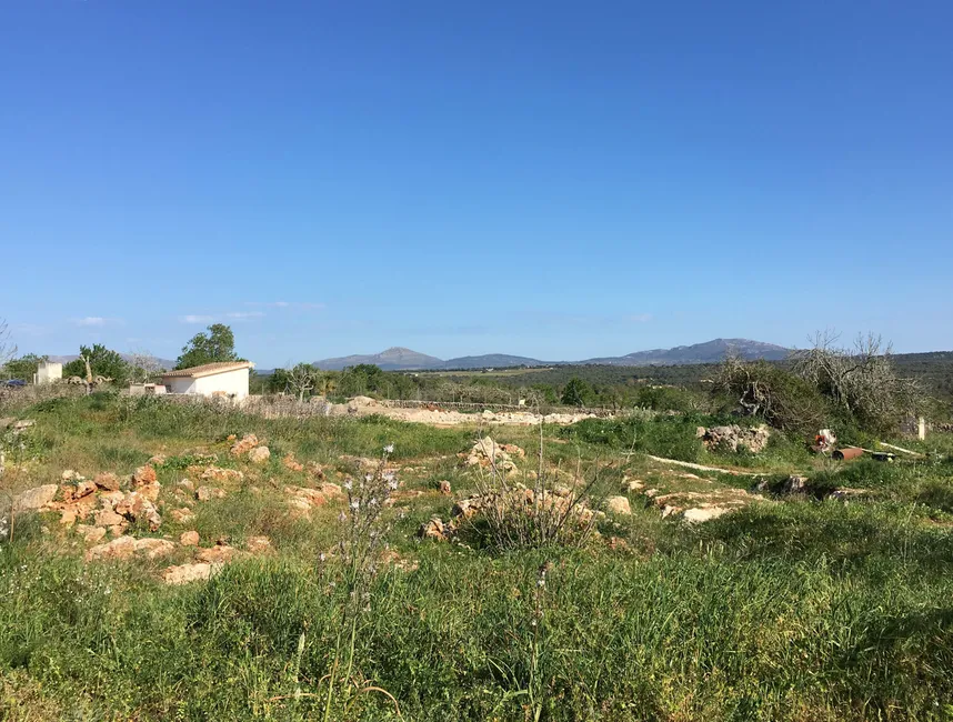 Fremragende stykke jord til udvikling med projekt nær Santa Margalida - Mallorca-11