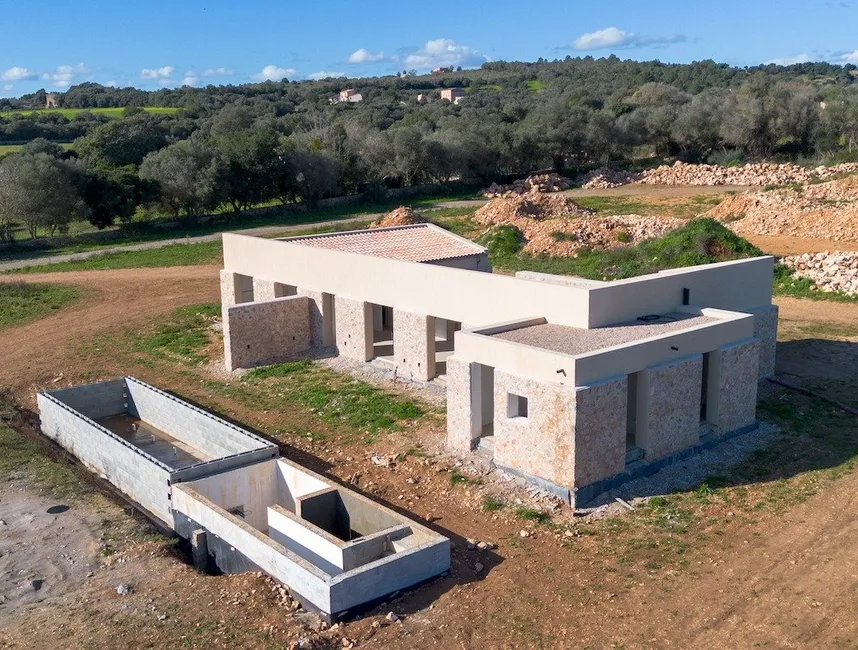 THE HARMONY LIVING PROJECT – Four fincas, one dream of communal living-12