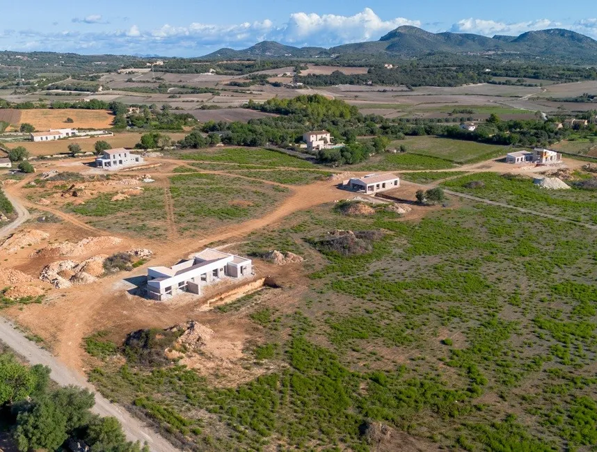 THE HARMONY LIVING PROJECT – Four fincas, one dream of communal living-9