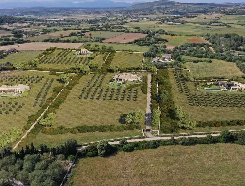 THE HARMONY LIVING PROJECT – Four fincas, one dream of communal living-1