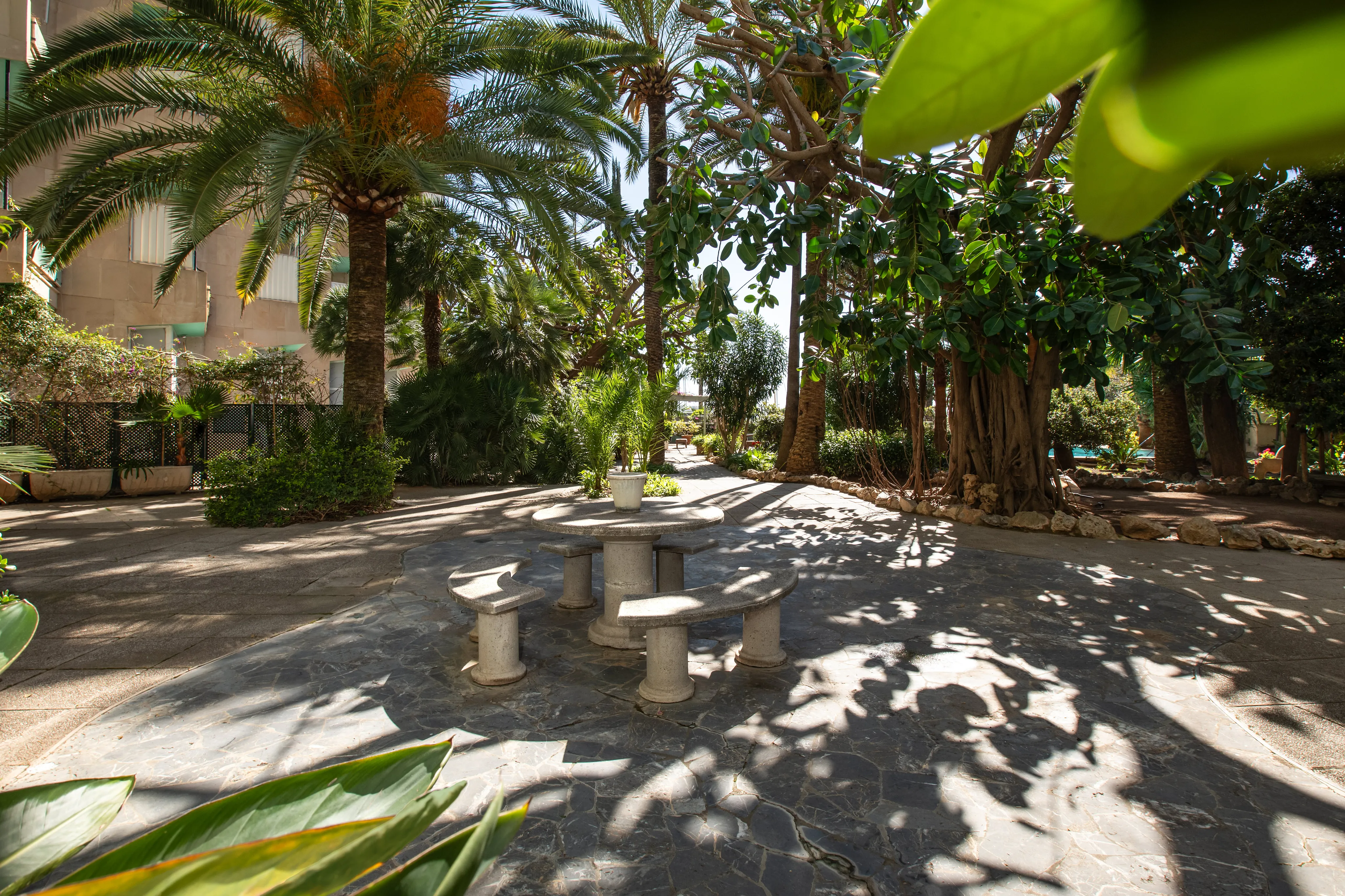 Piso luminoso con terrazas y garaje en emblemático edificio-15