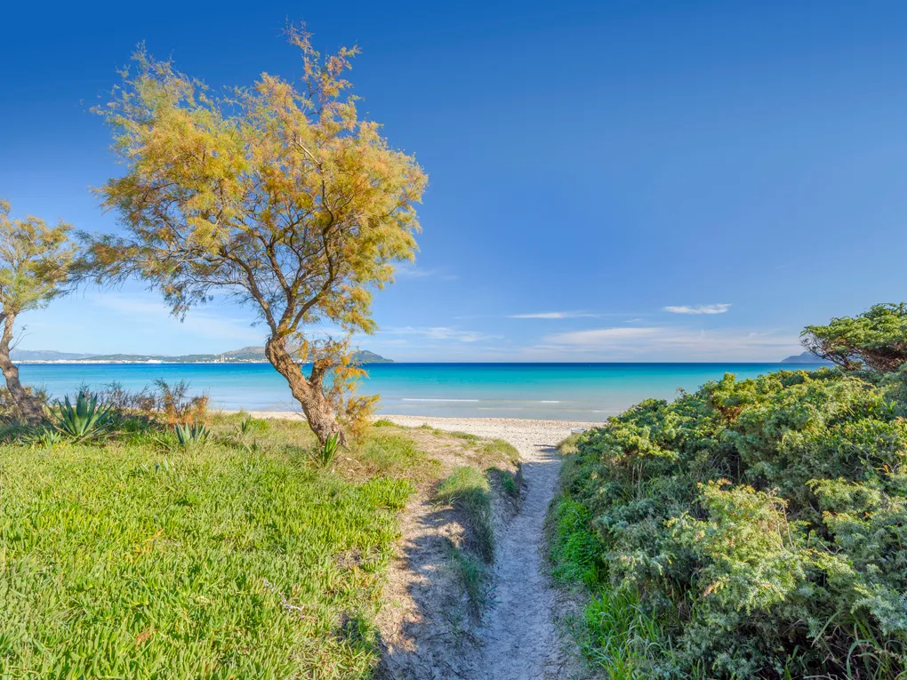 Moderna villa con licencia de alquiler vacacional – a pocos minutos a pie de la playa-4