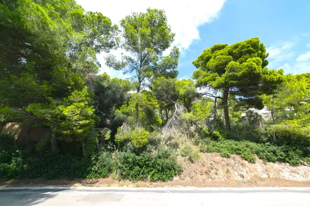 Uniek perceel in de tweede zeelijn-3