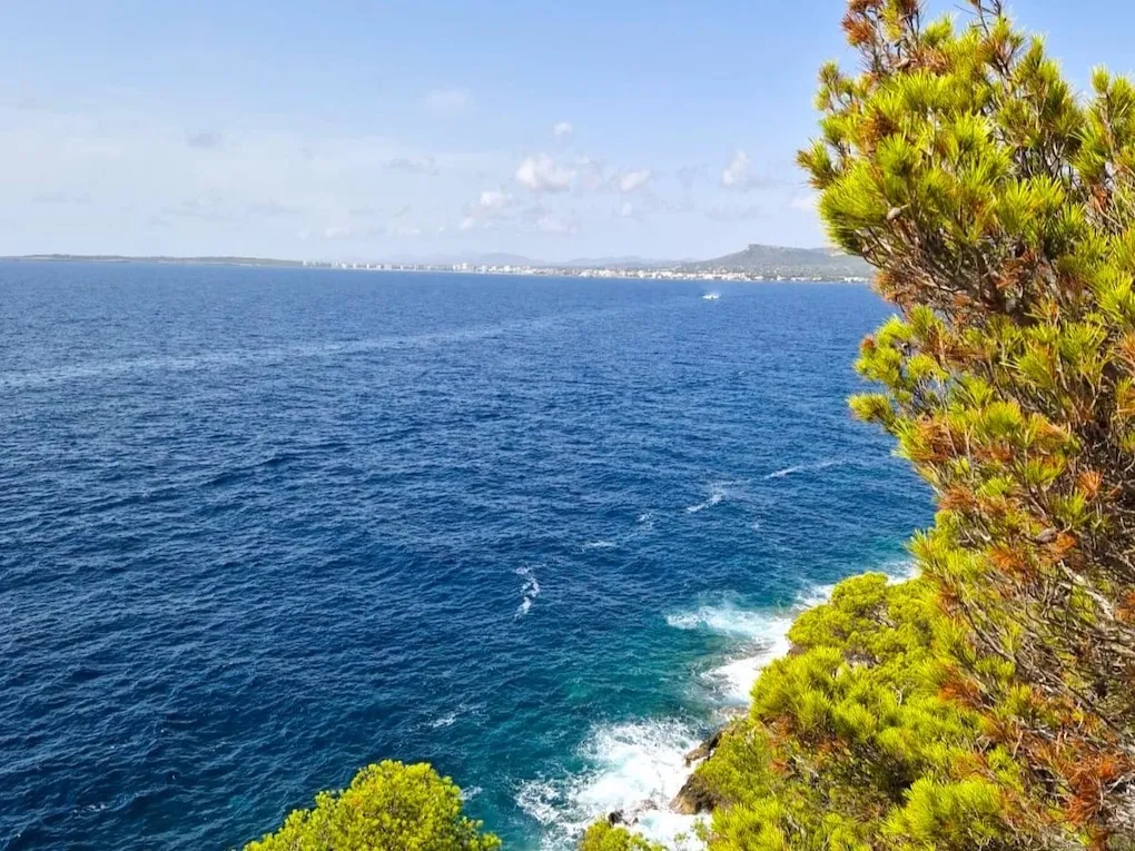 Uniek perceel in de tweede zeelijn-2