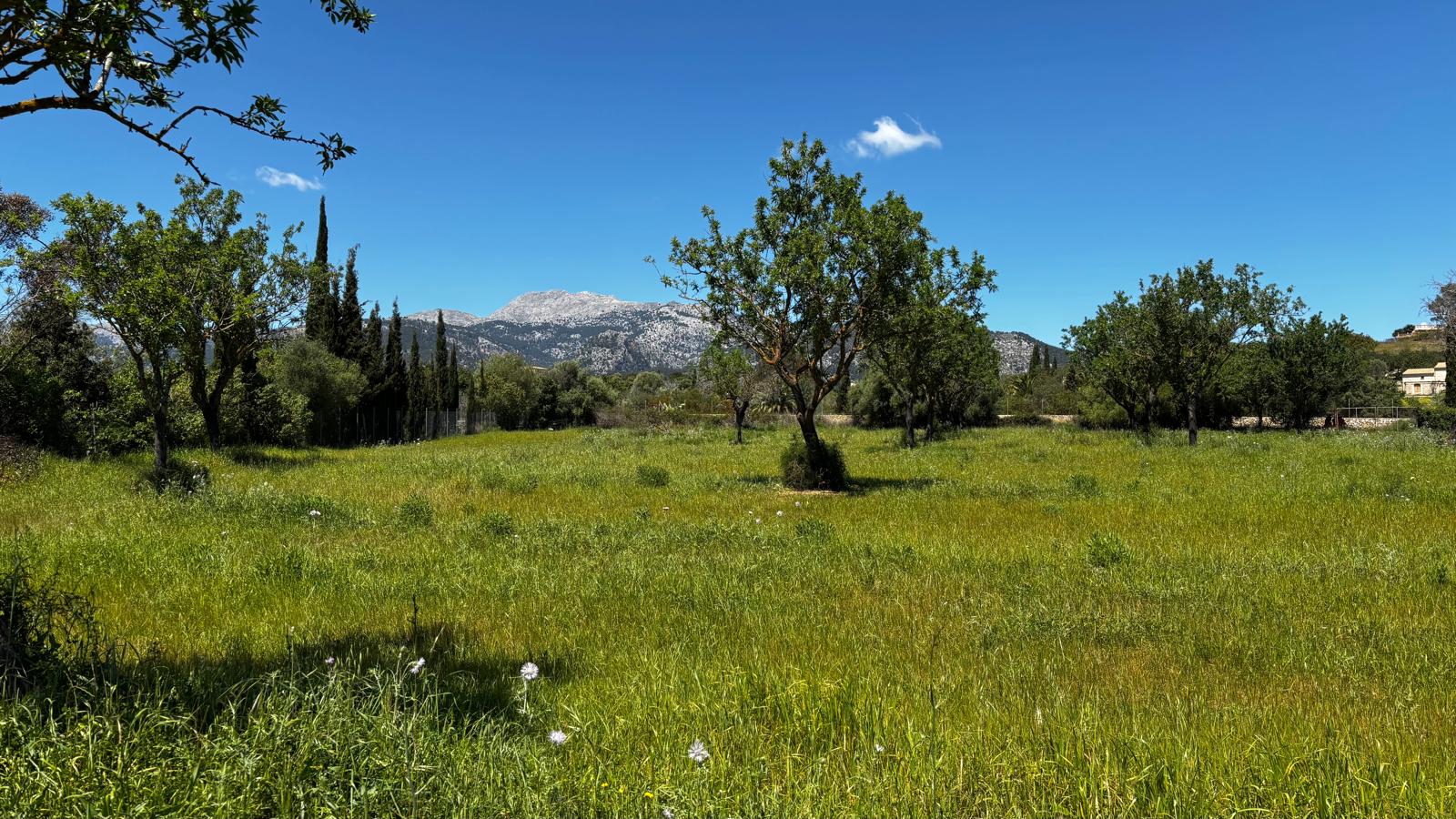 Terreno in posizione tranquilla tra Moscari e Selva-6