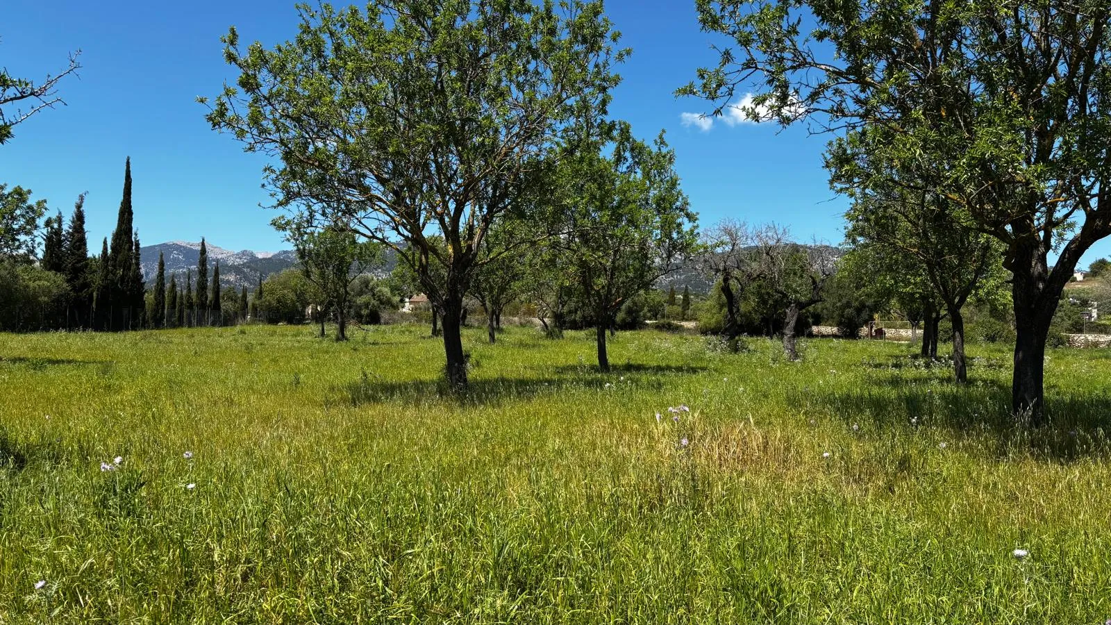 Terreno in posizione tranquilla tra Moscari e Selva-8