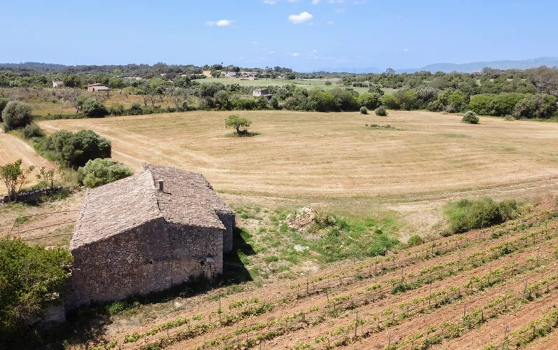 Terreny amb ruïna de pedra i projecte de restauració