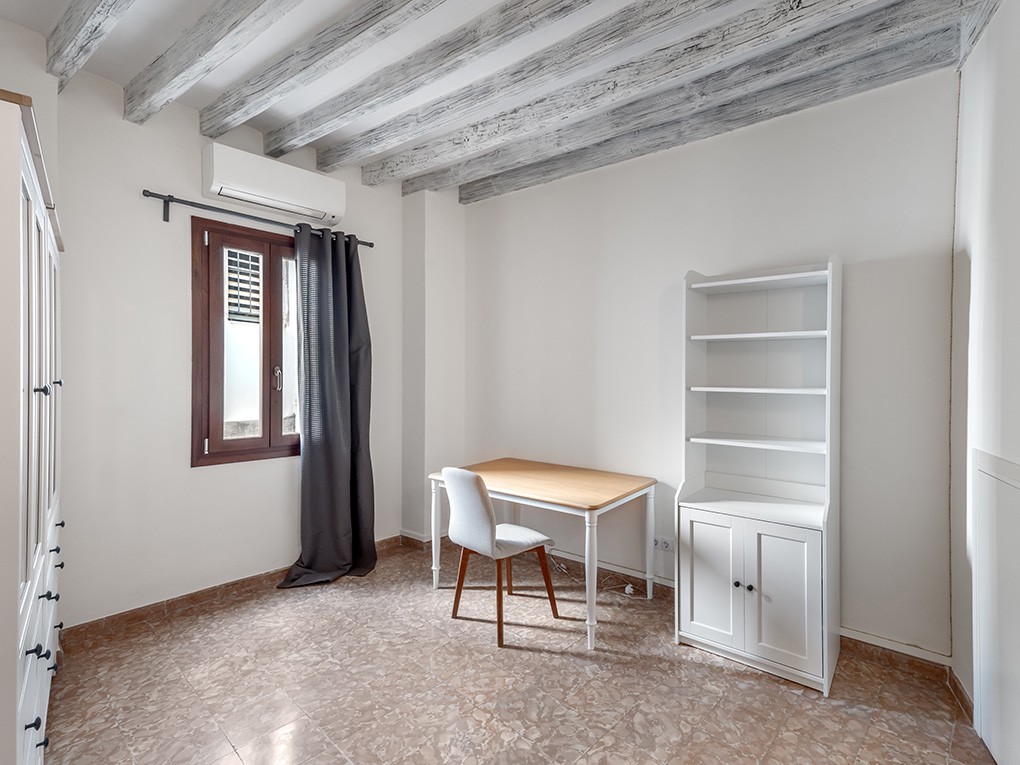 Characterful apartment on Paseo del Borne-14