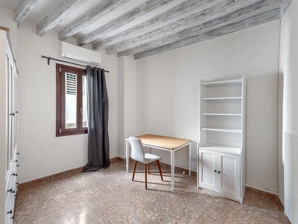 Characterful apartment on Paseo del Borne-14