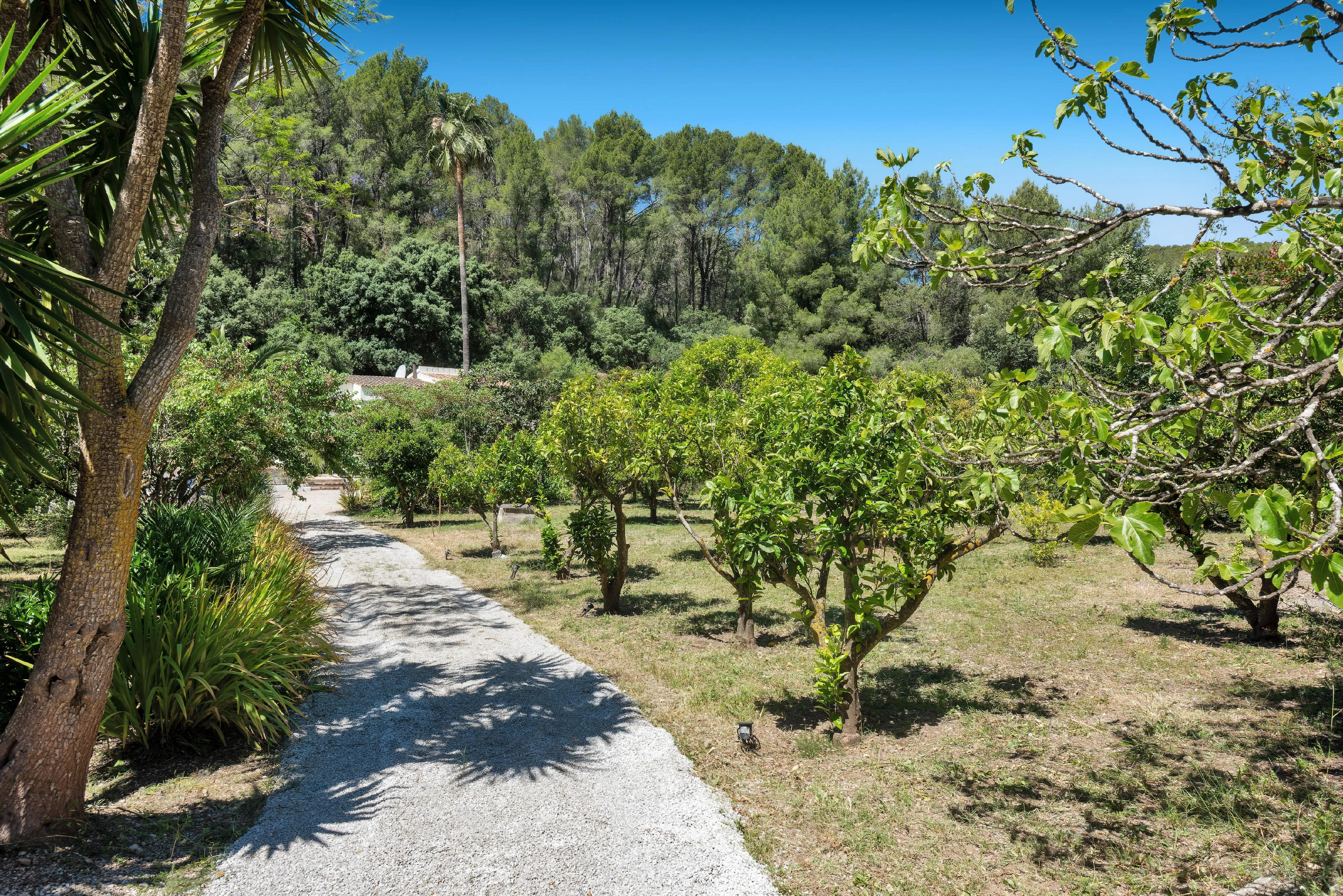 Idilio natural en Sa Coma - La serenidad mallorquina se une a la vida contemporánea-16