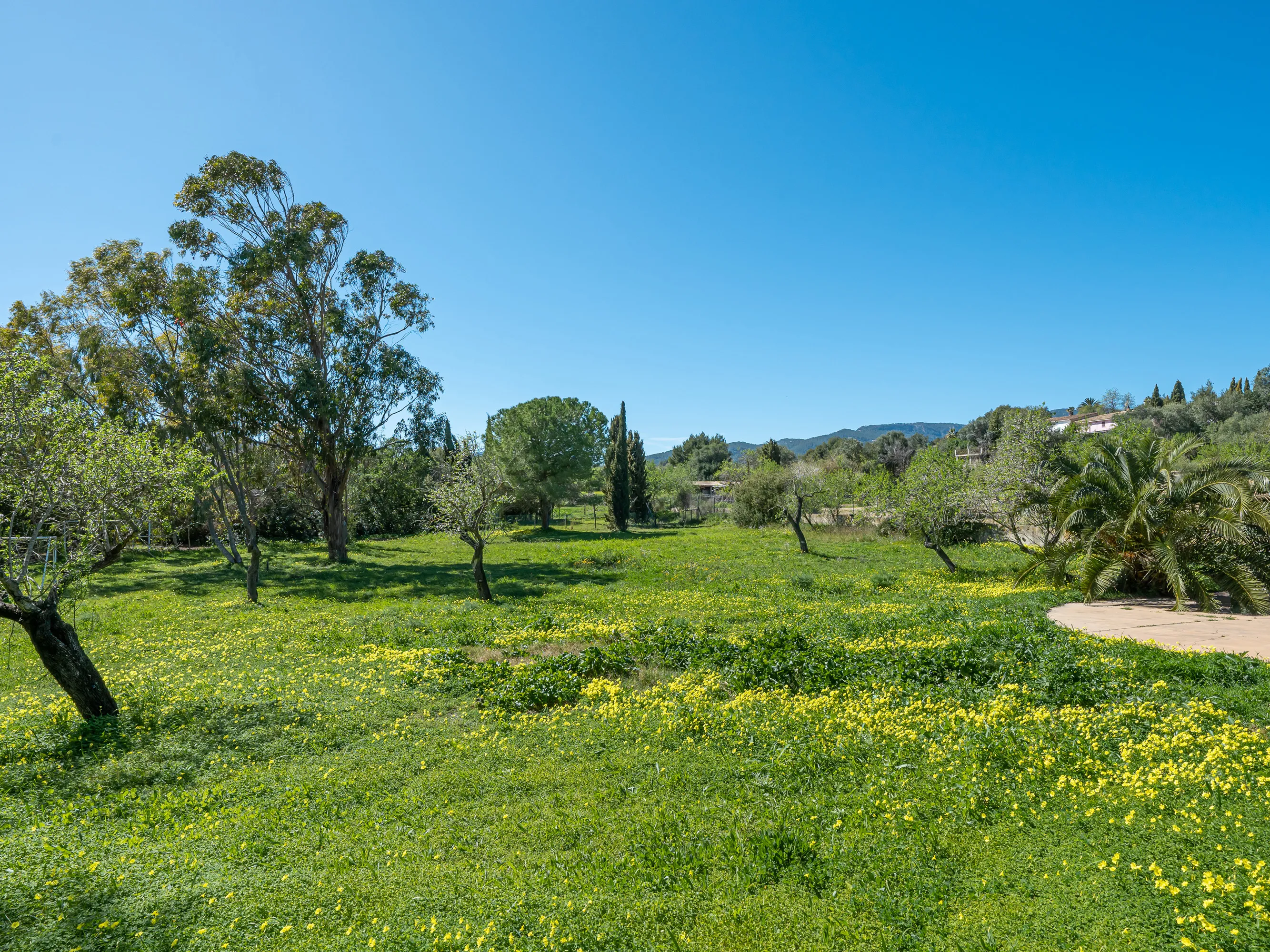 Romantisk, rolig finca nær Palma-22