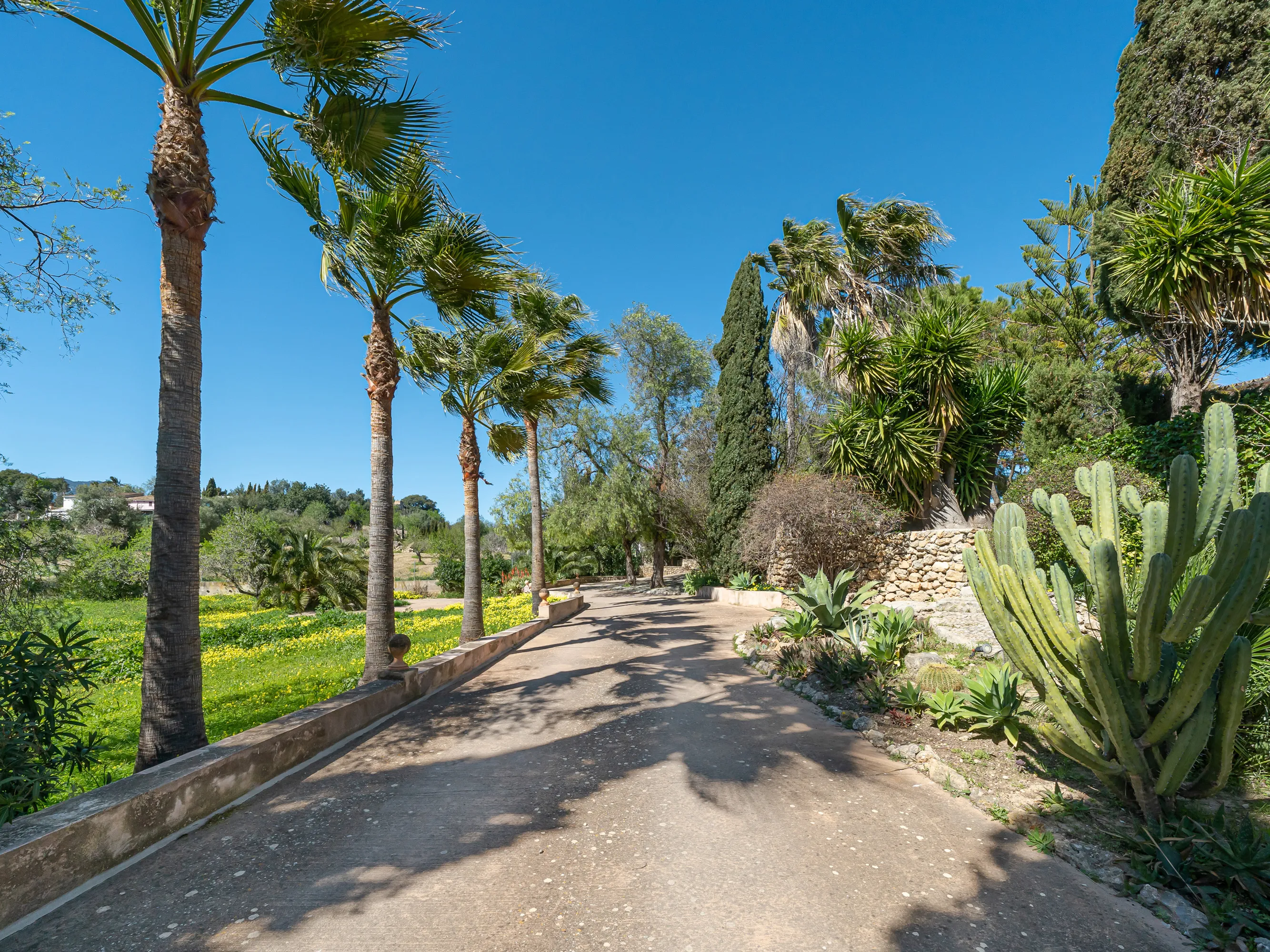 Romantisk, rolig finca nær Palma-23