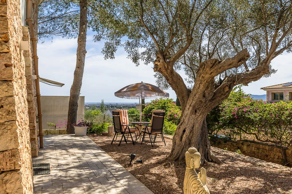 Villa di alta qualità con giardino e pineta-20