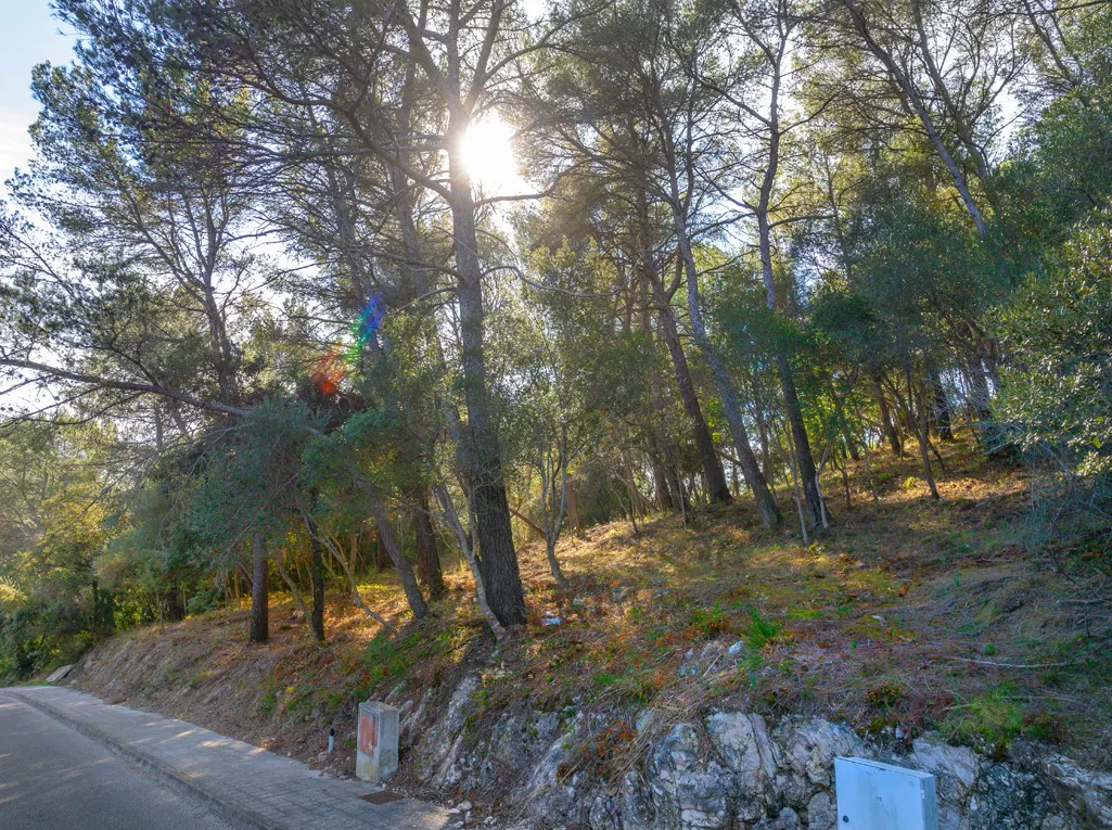 Bouwperceel te koop met uitzicht op de bergen in Crestatx-3