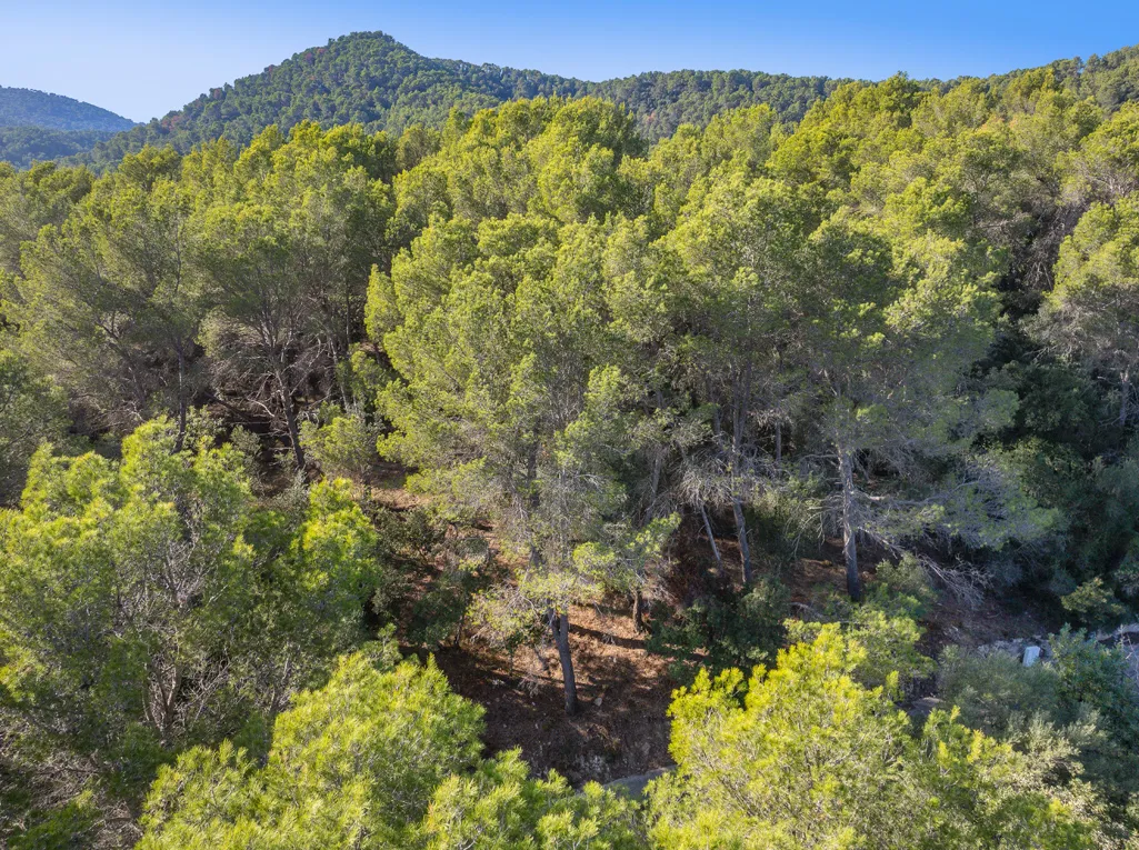 Bouwperceel te koop met uitzicht op de bergen in Crestatx-6