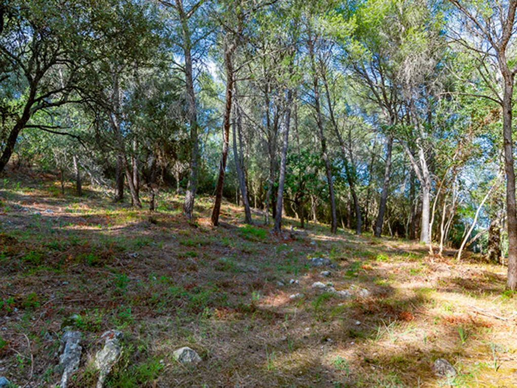 Bouwperceel te koop met uitzicht op de bergen in Crestatx-2