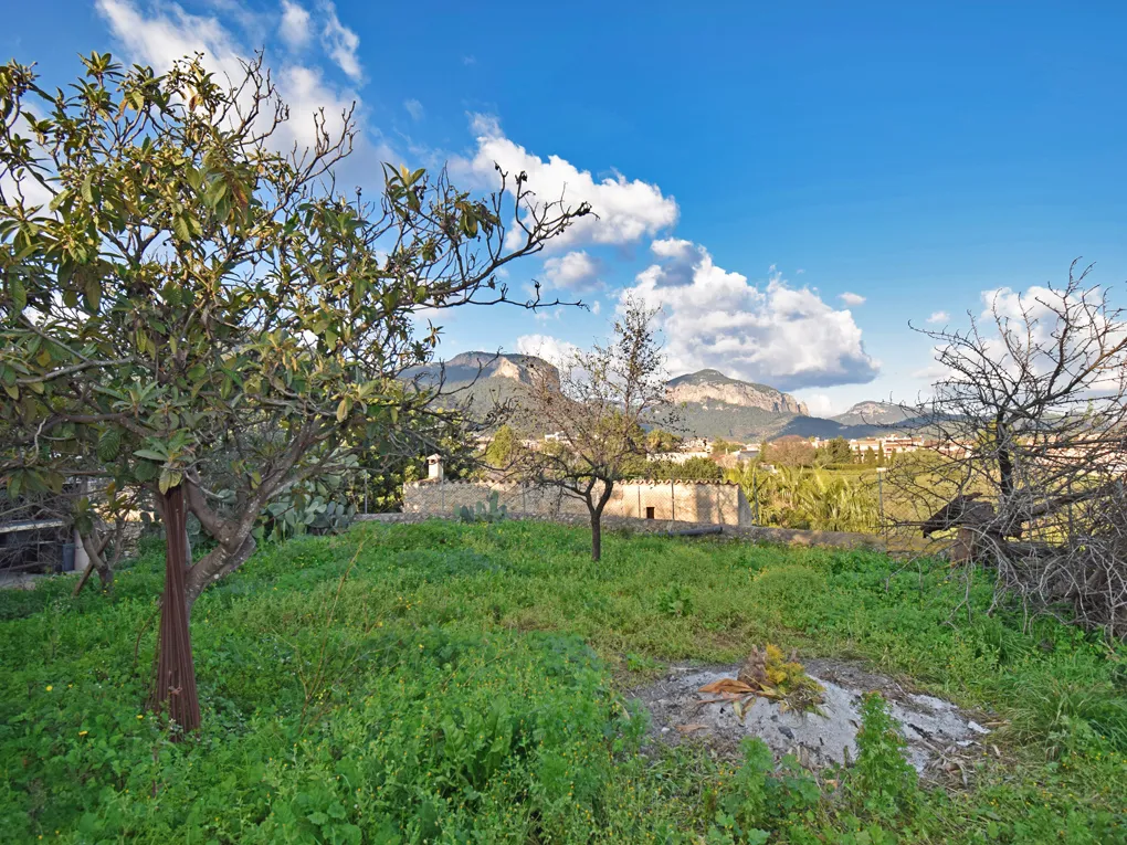 Belle maison de ville à Alaró-3