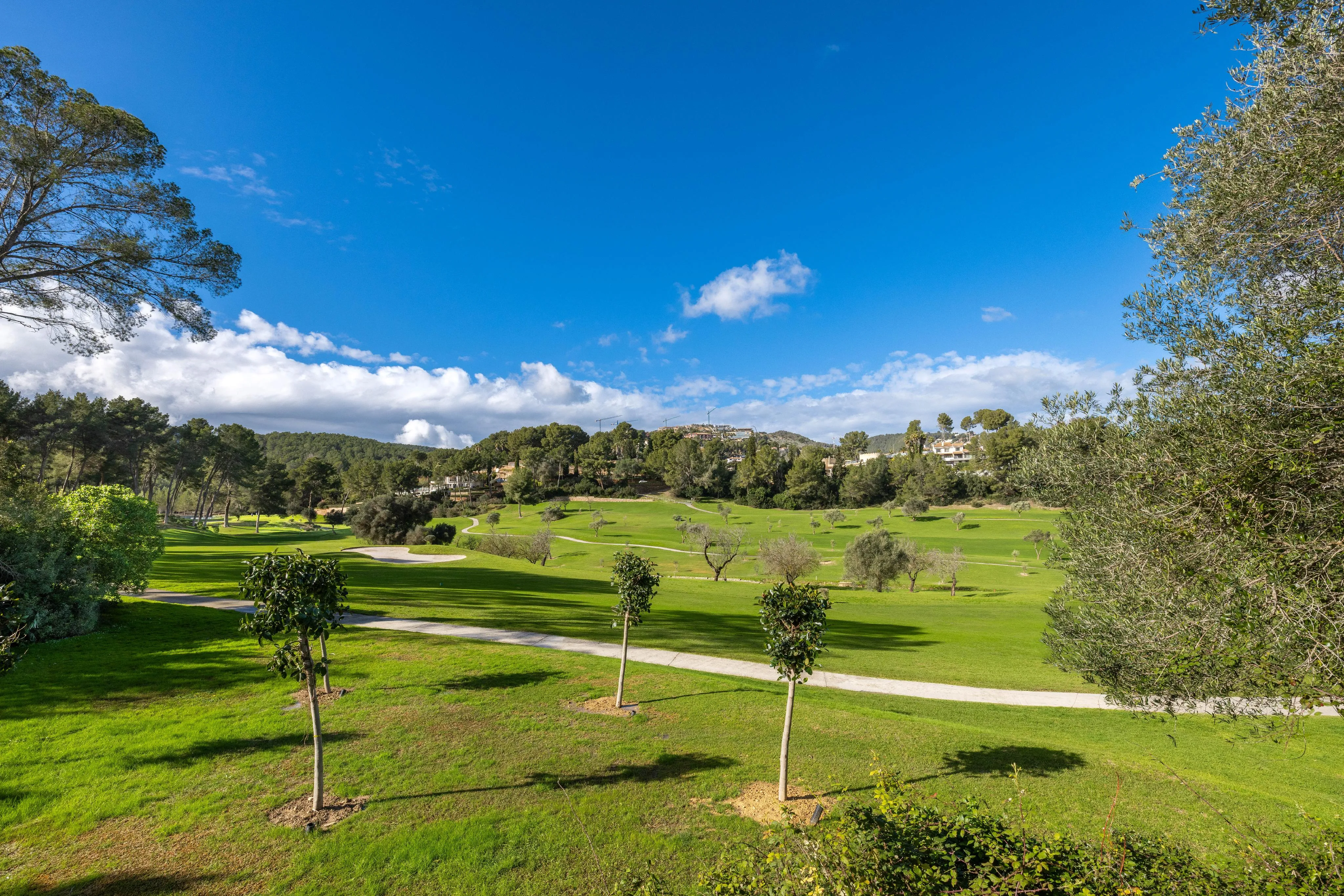 Villa familiale rénovée sur le terrain de golf-25