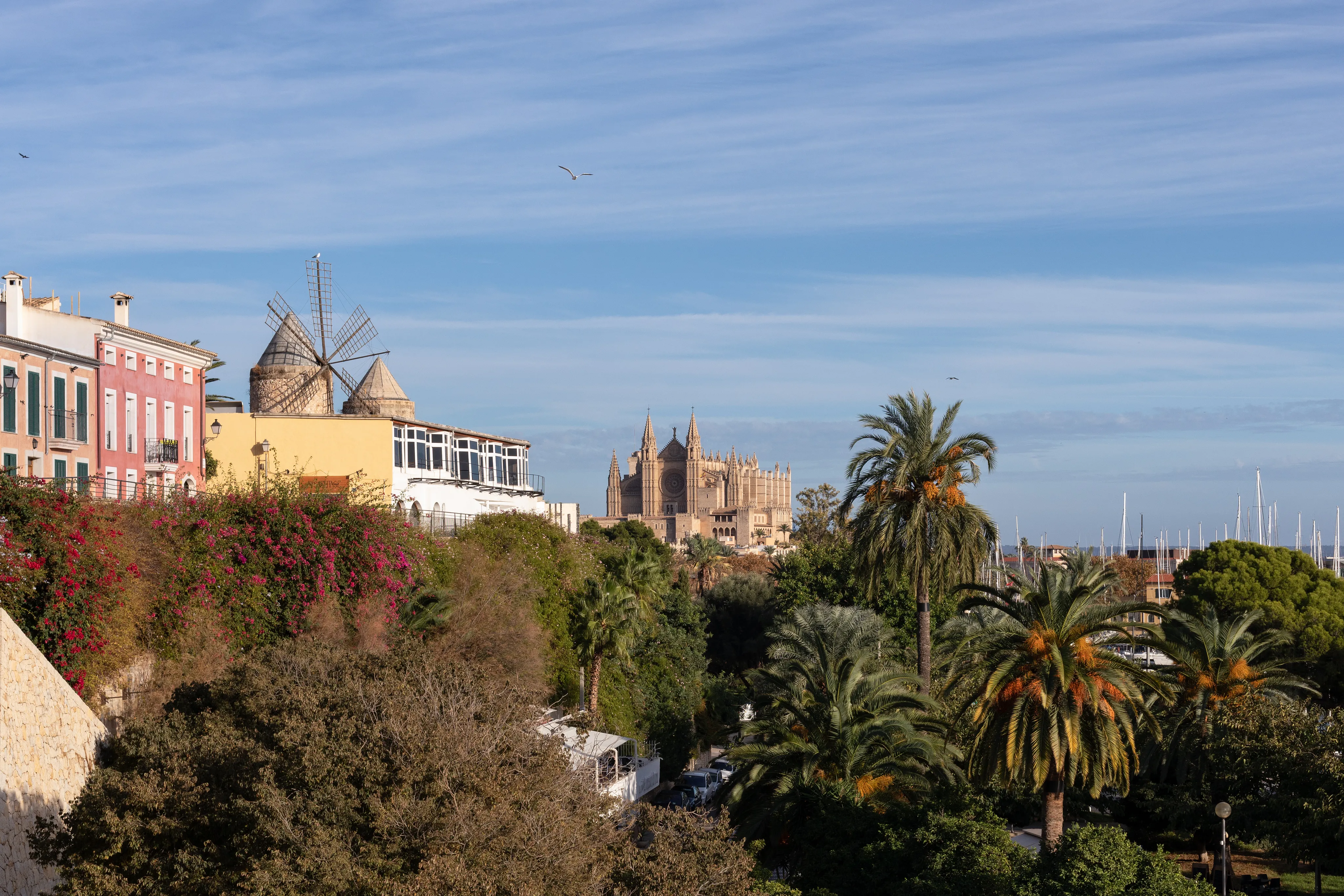 Appartamento con vista sul porto e ampia terrazza in una posizione privilegiata sul Paseo Marítimo-17