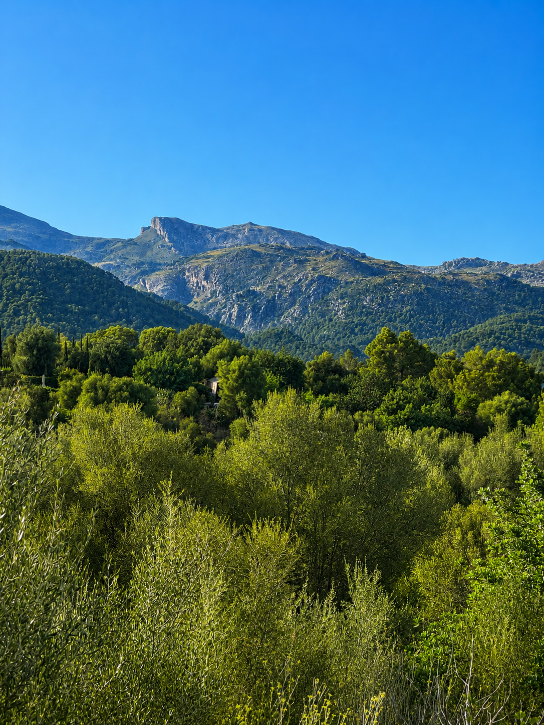 Urban plots with views – Investment opportunity in Campanet-4