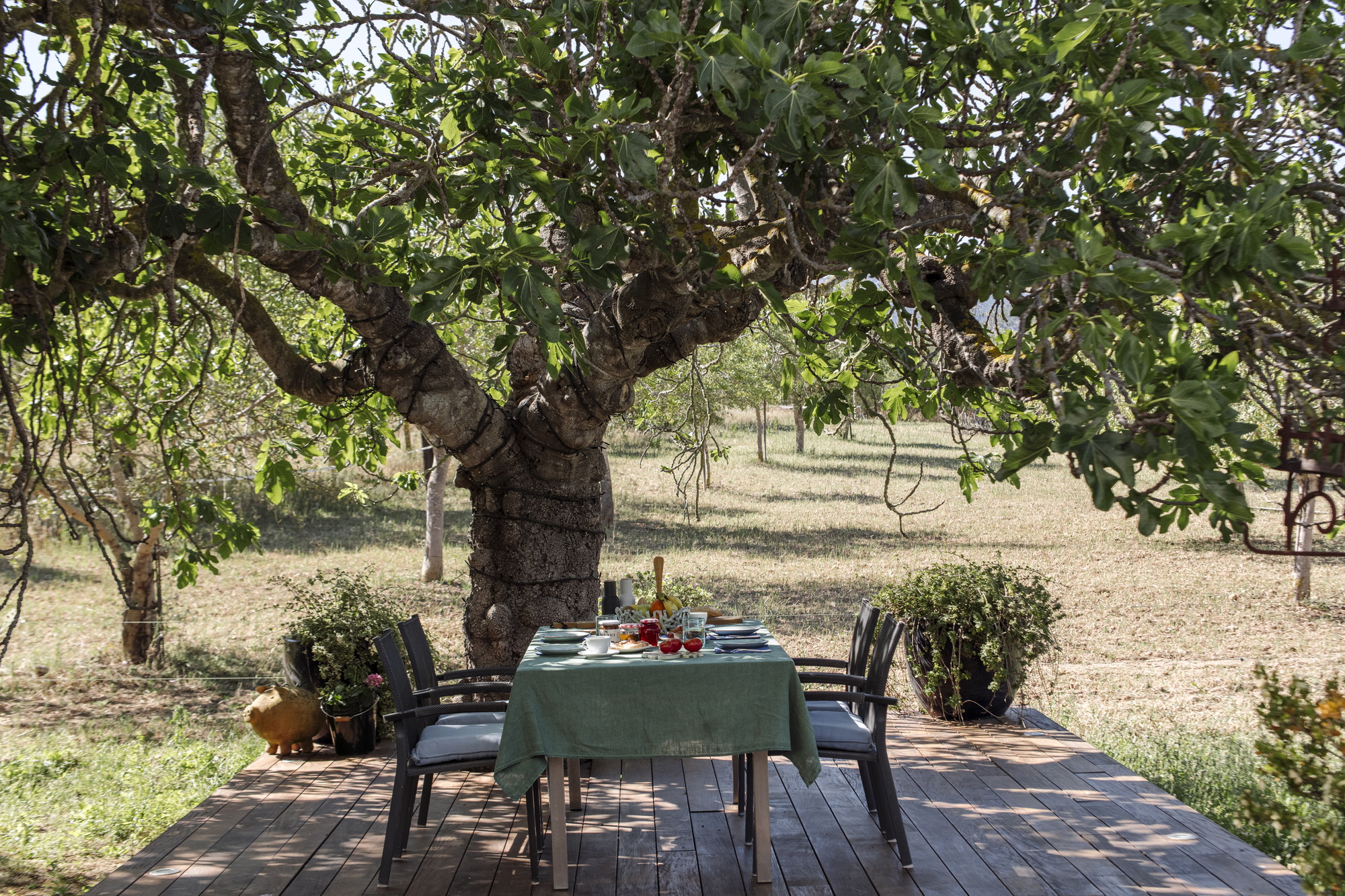 An exclusive finca blending nature, tradition, and modernity in Santa Maria-12
