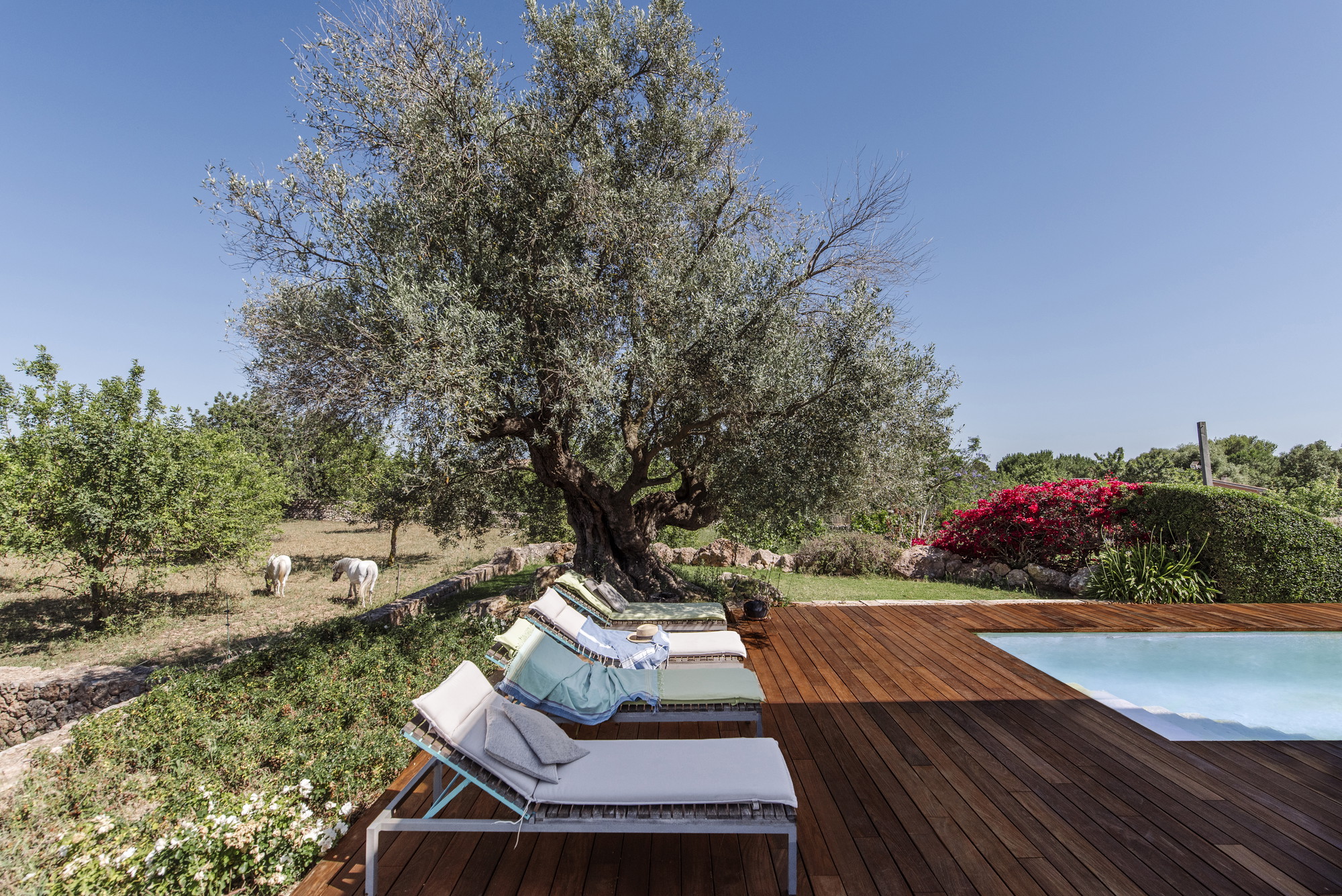An exclusive finca blending nature, tradition, and modernity in Santa Maria-11