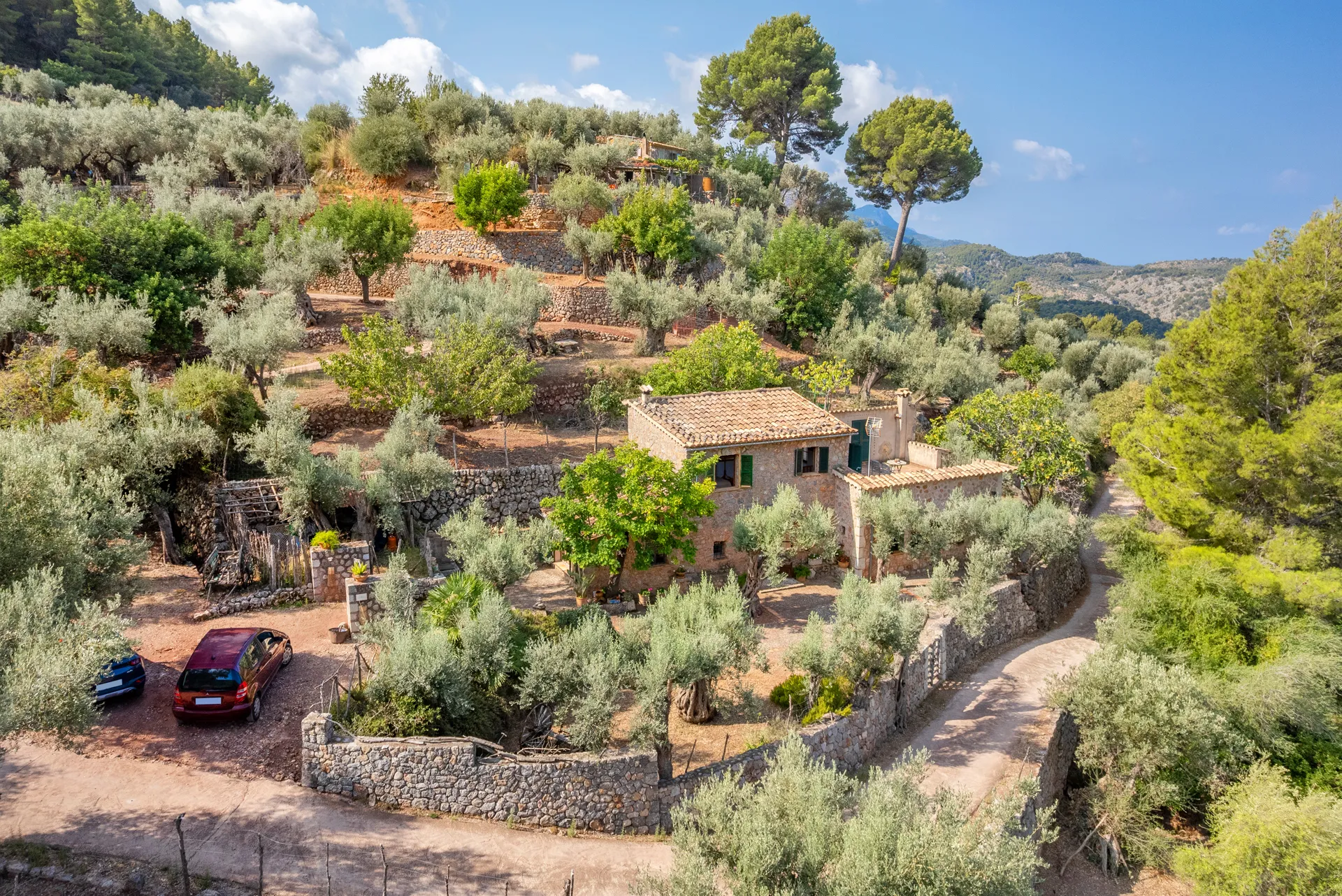 Finca de rêve dans un décor à couper le souffle-24