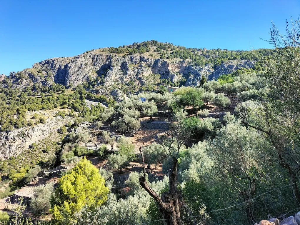 Finca de rêve dans un décor à couper le souffle-11