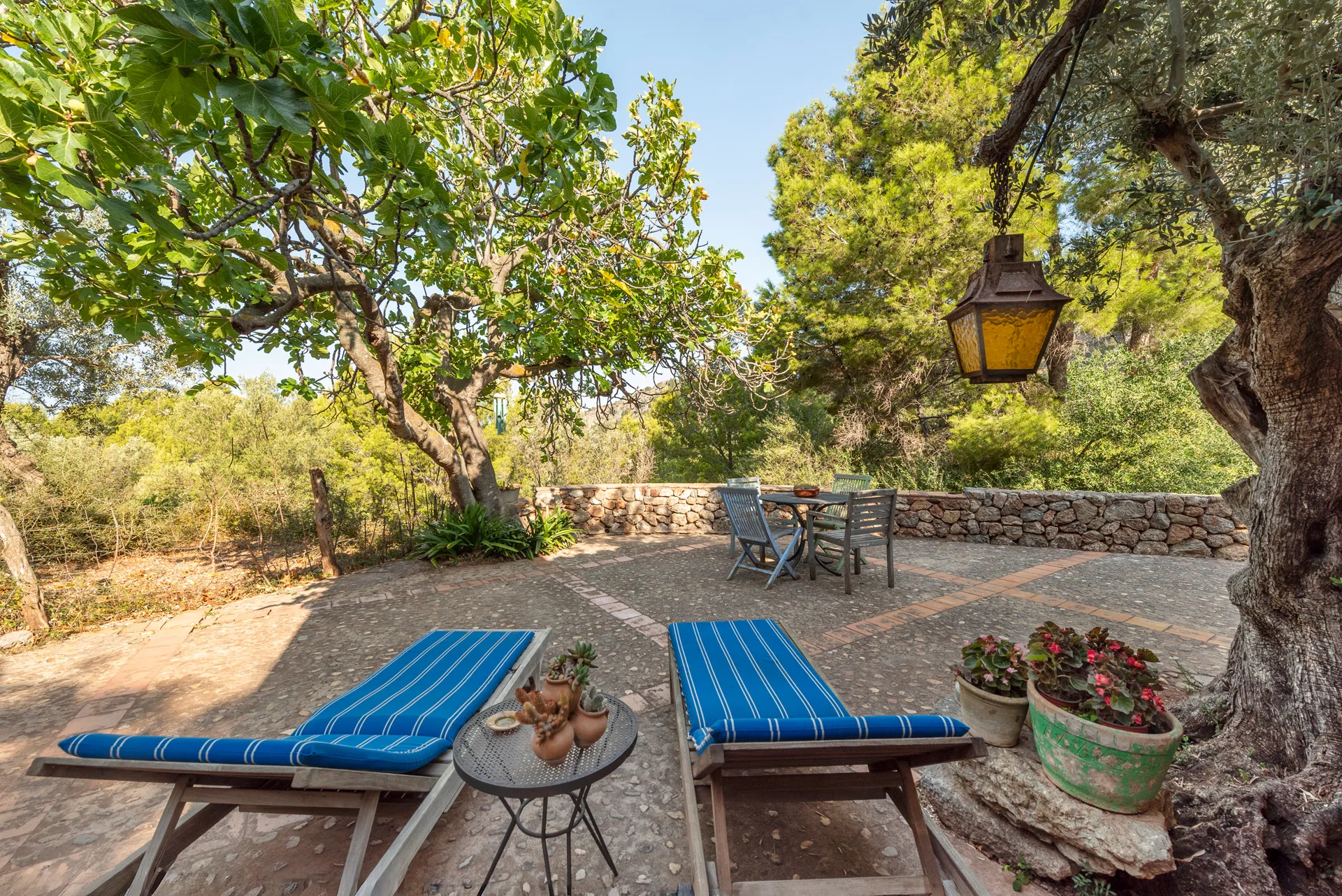 Finca de rêve dans un décor à couper le souffle-22