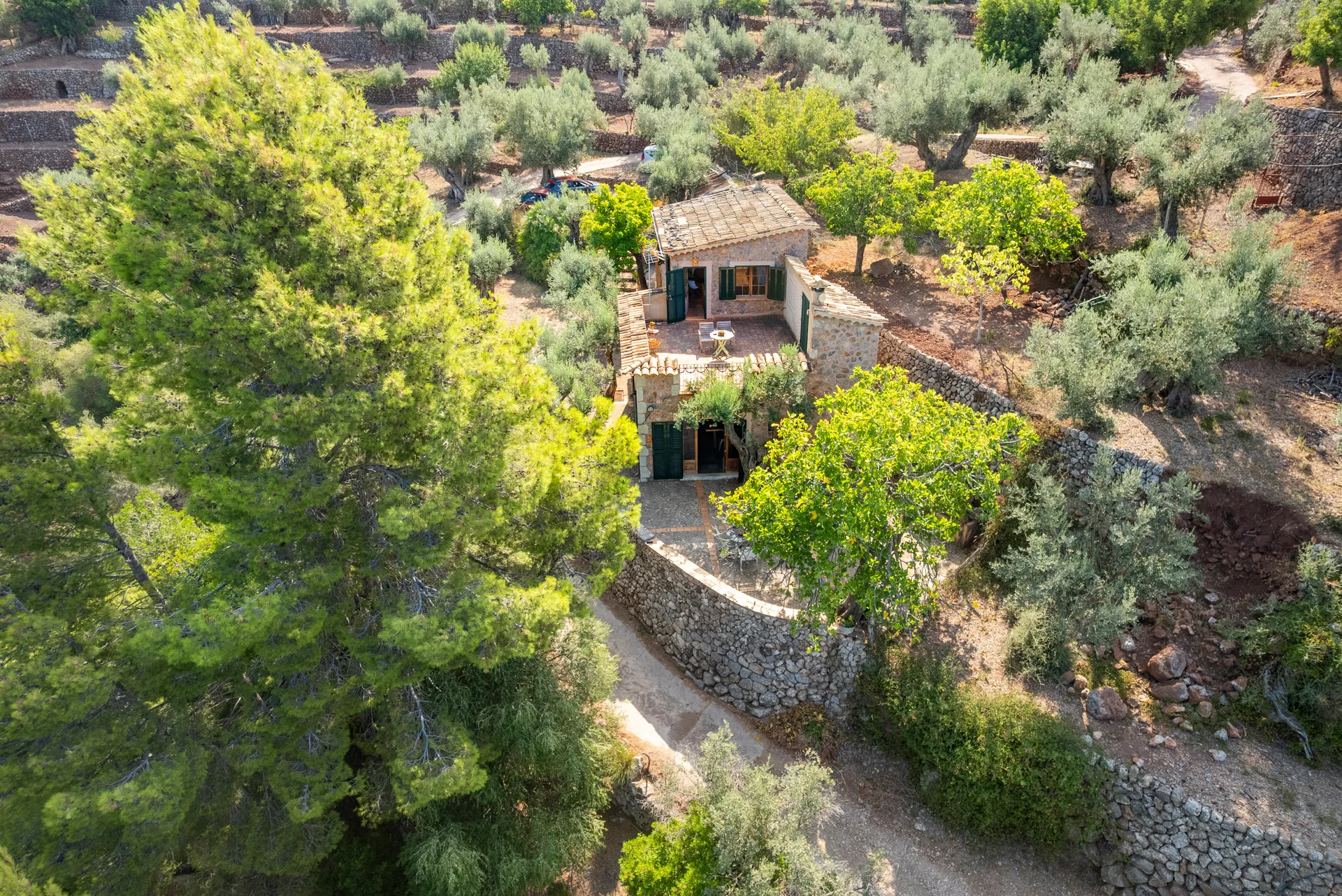 Finca de rêve dans un décor à couper le souffle-25