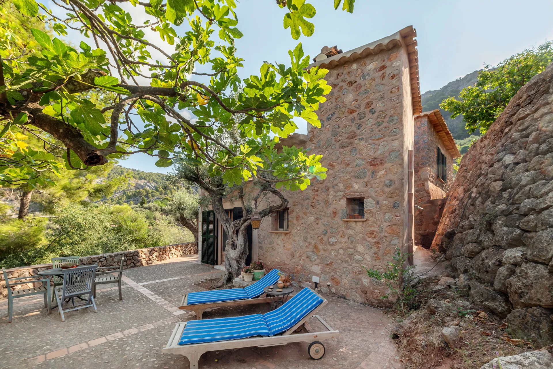 Finca de rêve dans un décor à couper le souffle-21