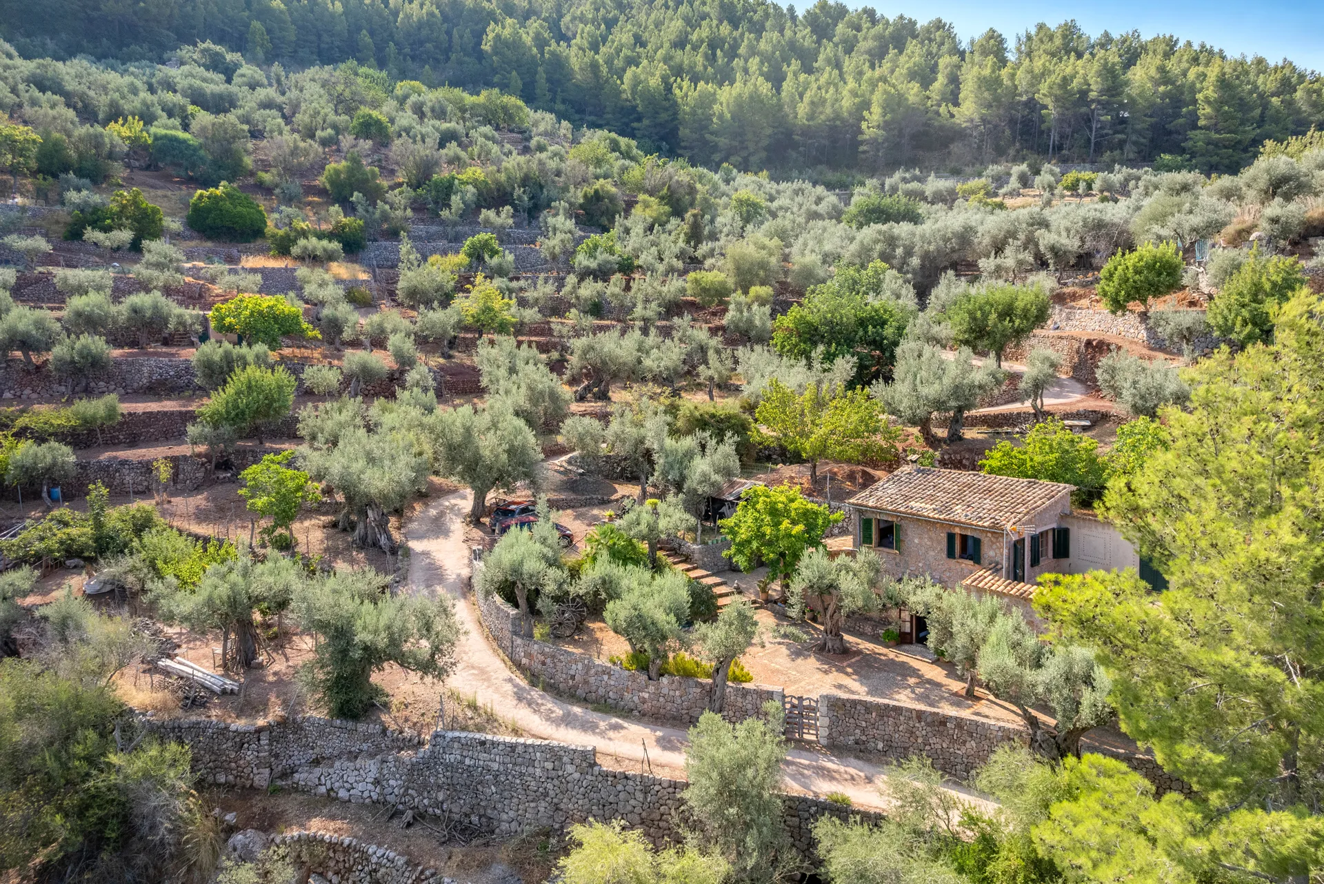 Finca de rêve dans un décor à couper le souffle-26