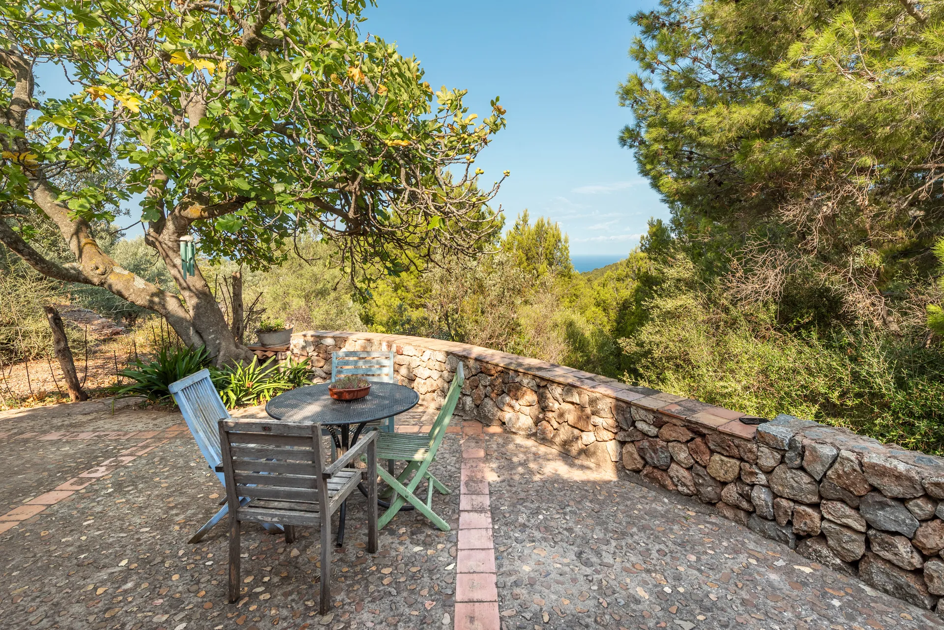 Finca de rêve dans un décor à couper le souffle-10