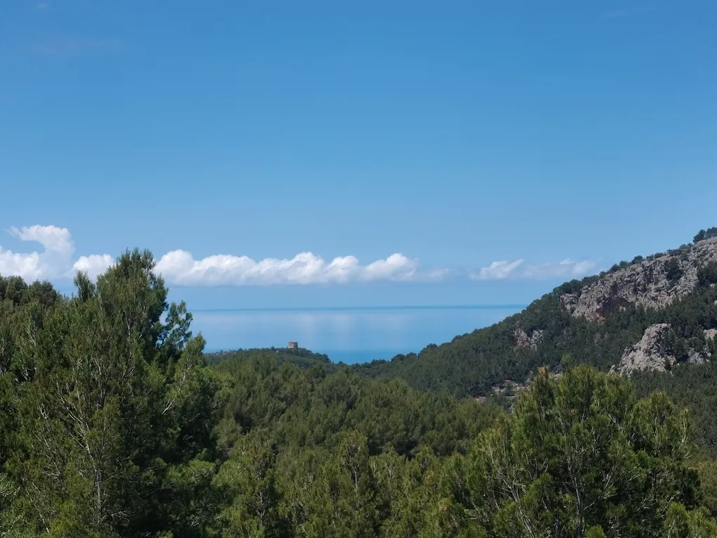 Finca de rêve dans un décor à couper le souffle-19