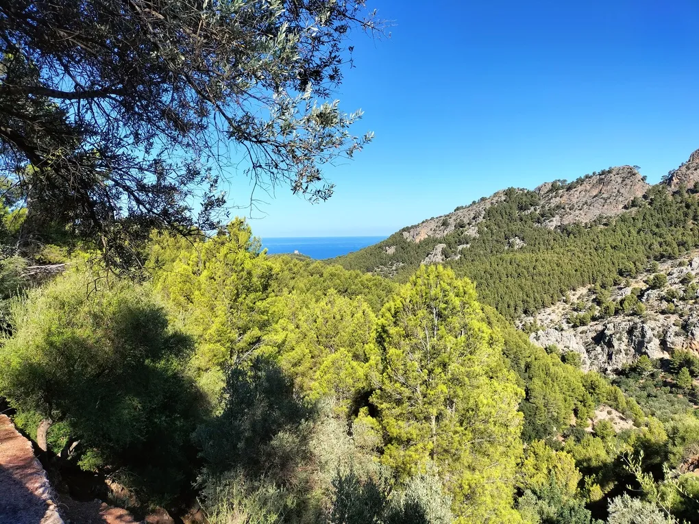Finca de rêve dans un décor à couper le souffle-28