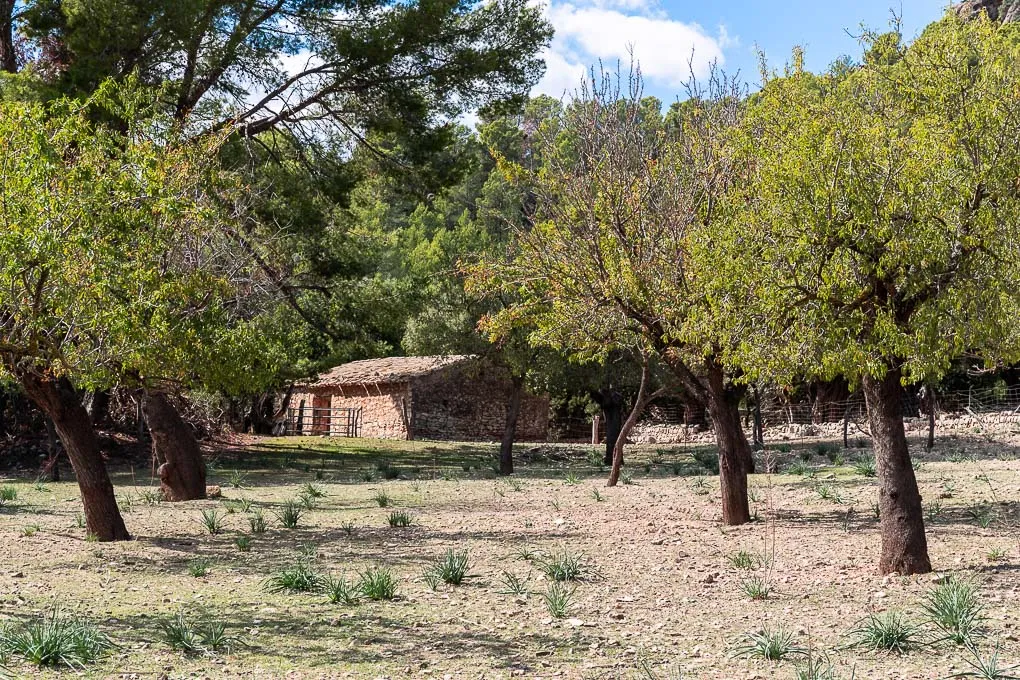 Mallorcinsk landejendom i udkanten af Binissalem med fantastisk udsigt-4