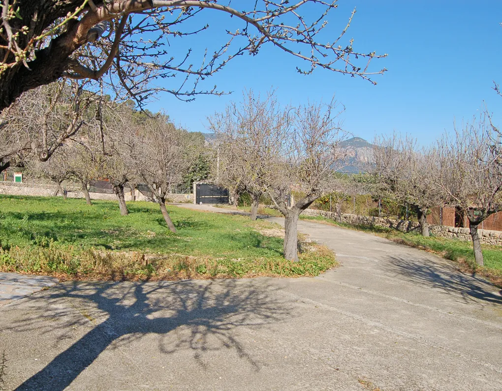 Finca con hermosa vista en el popular Alaró-15