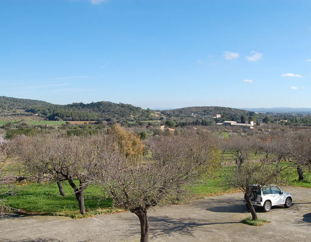 Finca amb bella vista en el popular Alaró-20