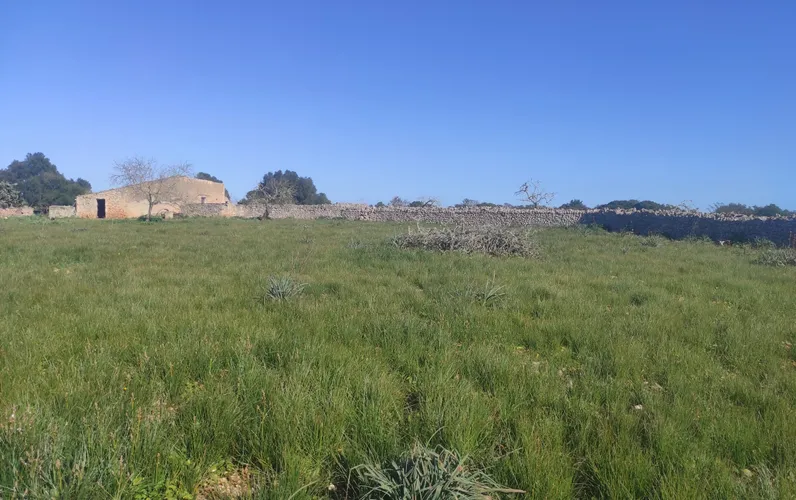 Grote bouwkavel in Ariany