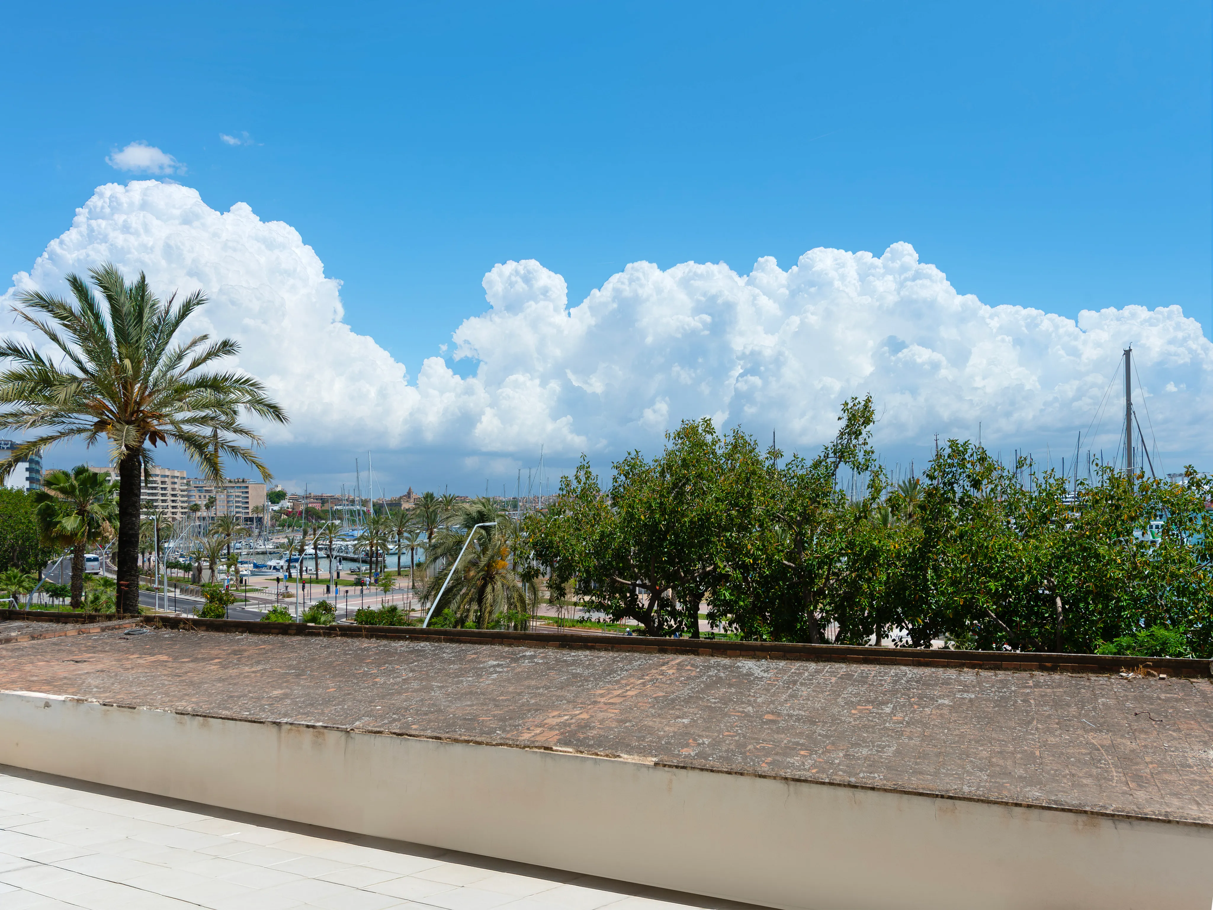 Impressionant apartament reformat en primera línia amb vista al port-16