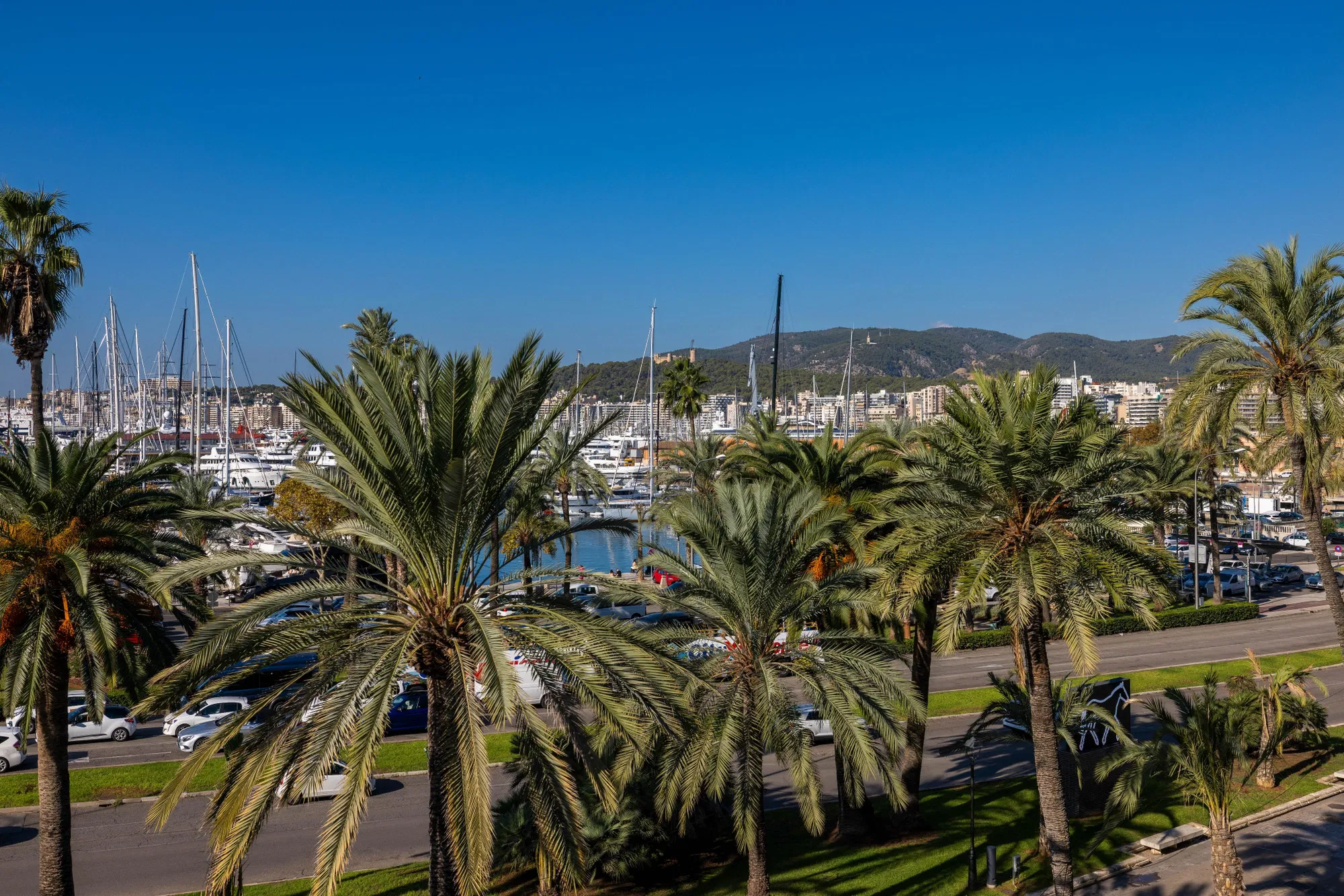 Un pis de somni al passeig marítim amb vistes de 180° i ascensor-2