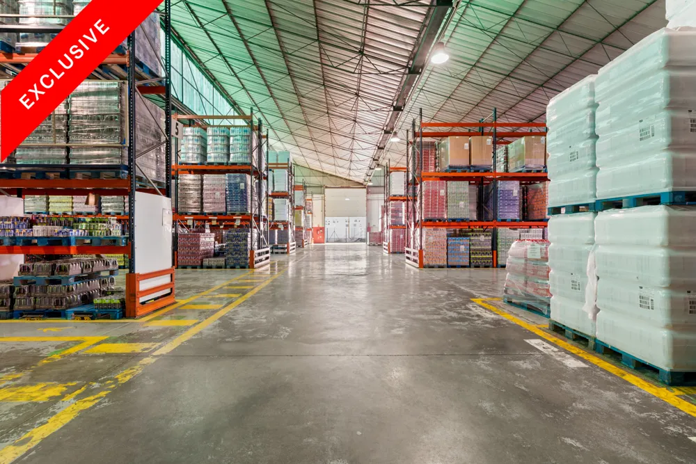Spacious warehouse facility in the Son Castelló industrial park-1