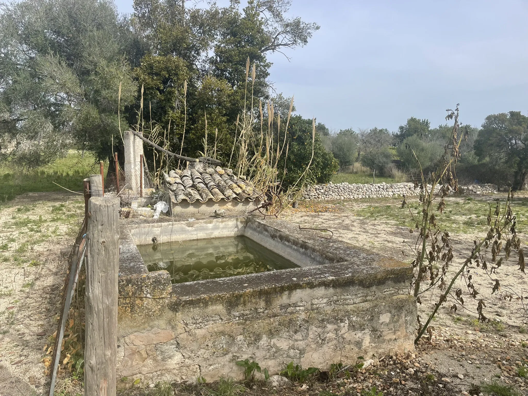 Fantastic Rustic Plot with Views of the Tramuntana-6