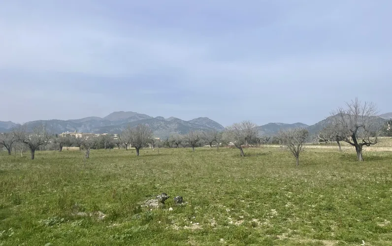 Фантастическое сельское поместье с видом на Трамунтану