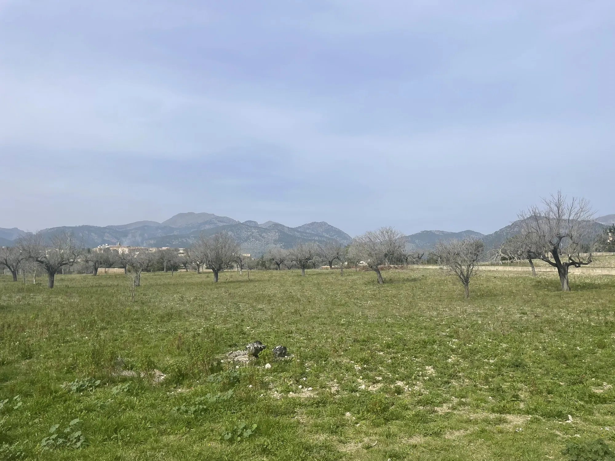 Fantastic Rustic Plot with Views of the Tramuntana-1