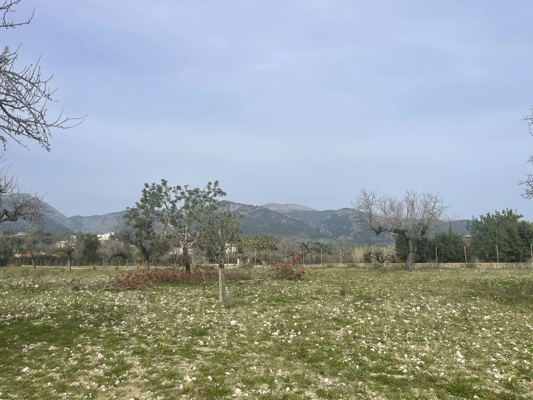 Fantastic Rustic Plot with Views of the Tramuntana-7