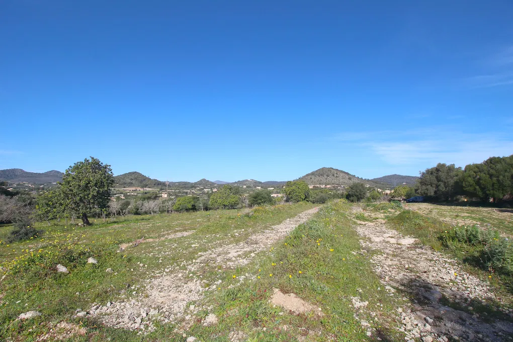 Finca avec projet et vue sur la mer près de Costa de los Pinos-11