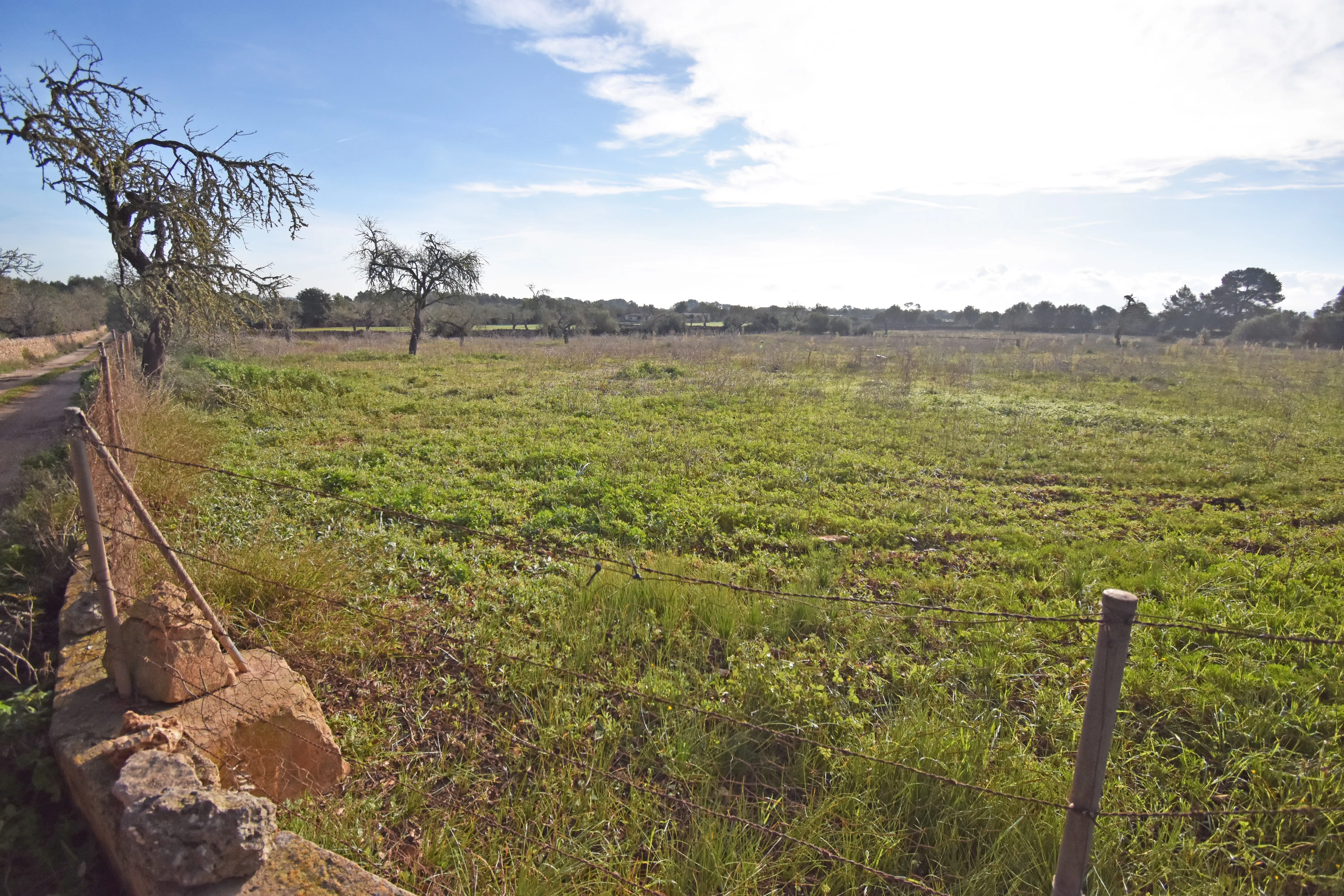 Beautiful rustic plot in Pina-2